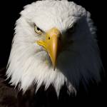 Redtech21 Profile Picture