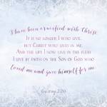 Carol Williamson Profile Picture