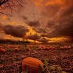 Melissaguidry Profile Picture