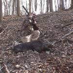 Jim Pickens Profile Picture