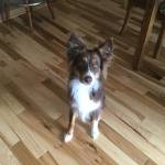 Chris Powers Profile Picture