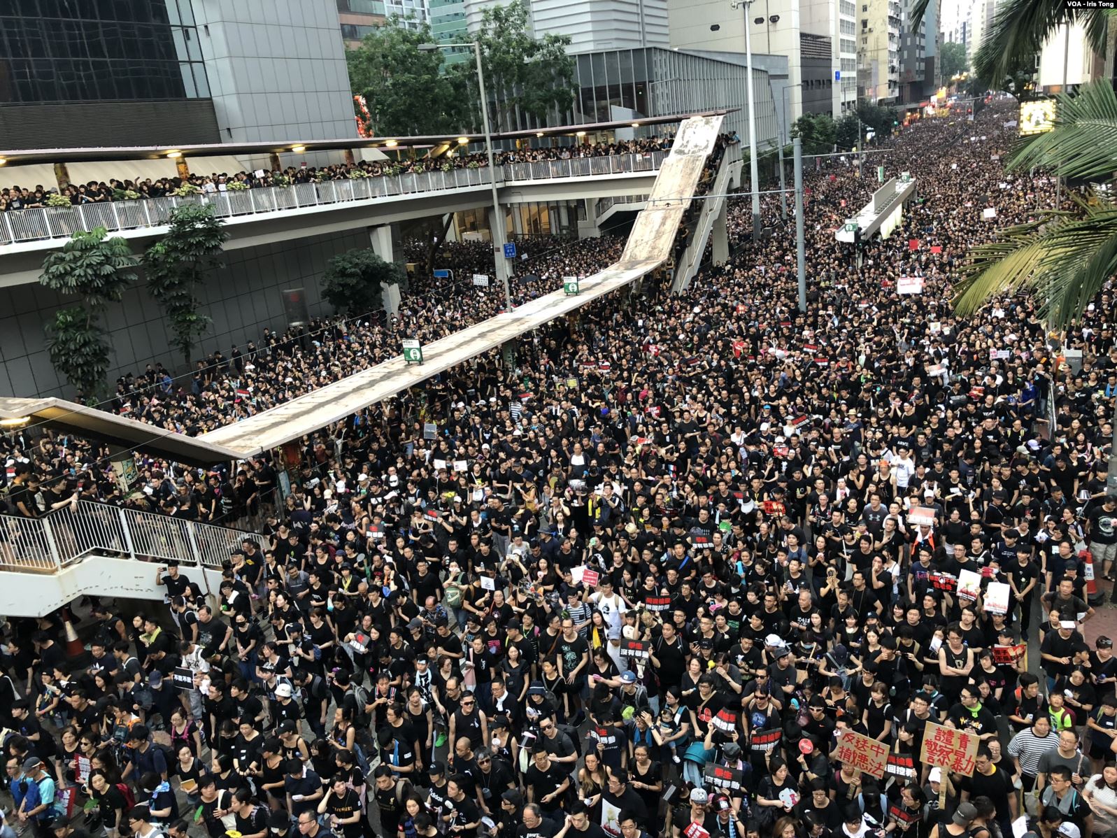 Does the Hong Kong Protest Have a Prayer? - Jerry Newcombe