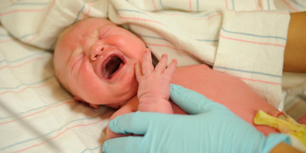 ‘She was alive and crying!’: Abortion nurse quits after baby born alive, left to die | The Pulse | LifeSite