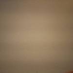 jadams228 Profile Picture