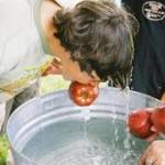 Bob Furapples Profile Picture