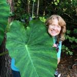 Rose Briggs Profile Picture