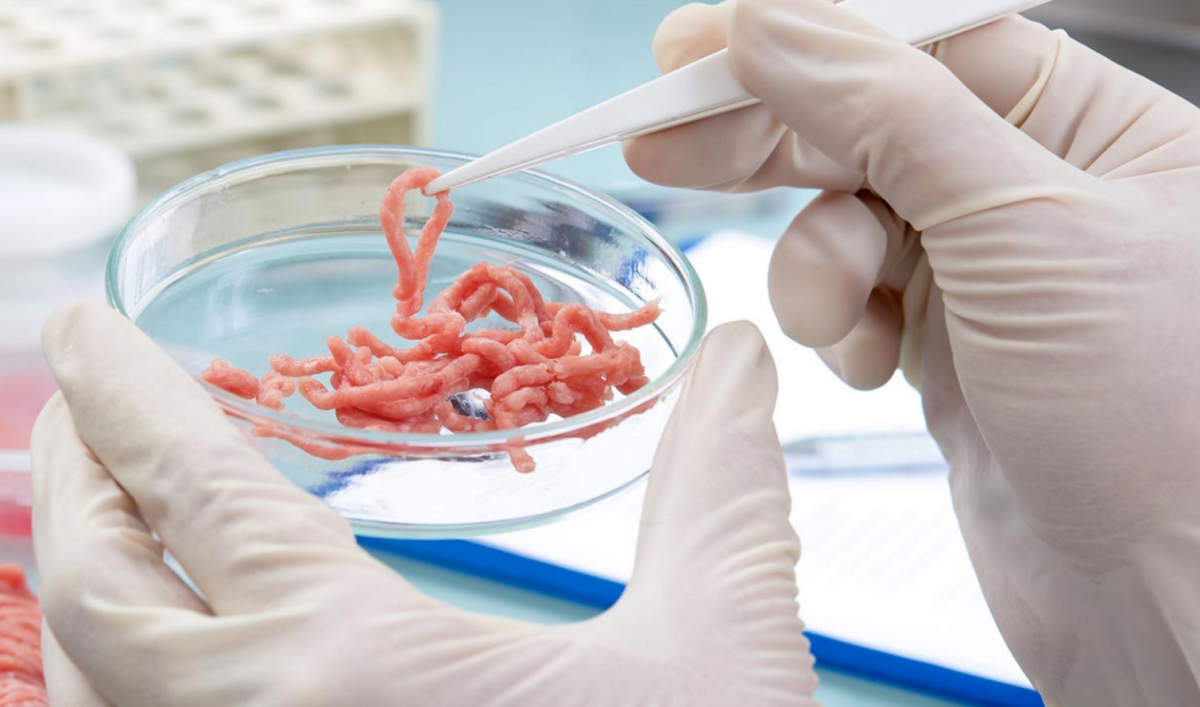 Human and rat DNA found in burgers, according to lab report | WGN-TV