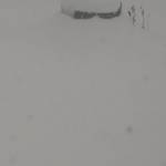 conservative_Black Profile Picture