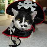 DMDavidson Profile Picture