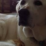 Christopher Makepeace Profile Picture