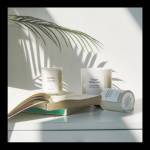 SBQ976 Profile Picture