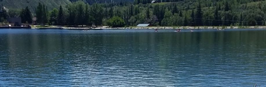 Joe Lillard Cover Image