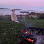 Gary Howorka Profile Picture