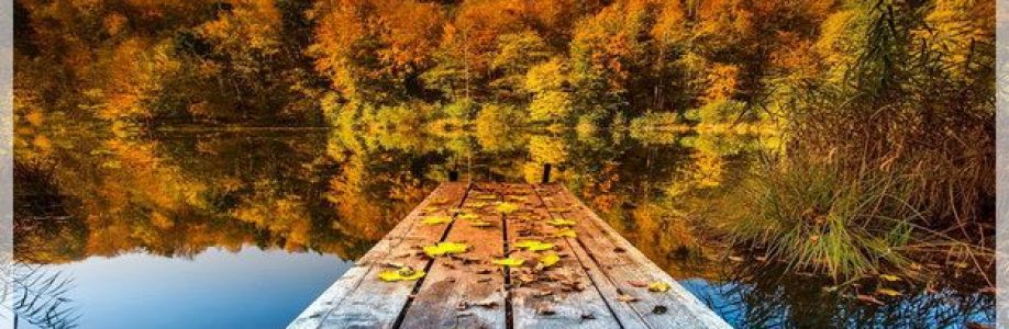 Daphne Adams Cover Image