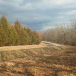 PamelaG Profile Picture