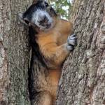 Tina St. Marie Profile Picture