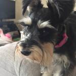 Beth Profile Picture