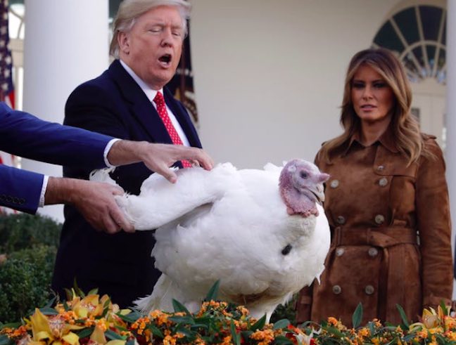President Trump Manages To Troll Adam Schiff While Pardoning Turkeys – Def-Con News