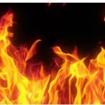 Steve Andrews Profile Picture