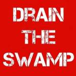 Steve Loes Profile Picture