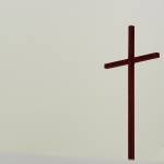 LALELEISEAUILELEA Profile Picture