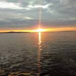 Bradley Brakenhoff Profile Picture