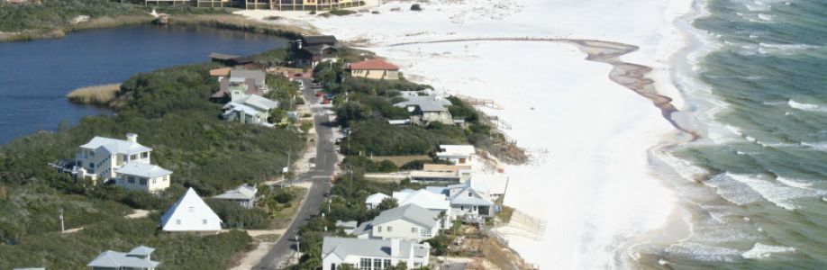 bama watson Cover Image