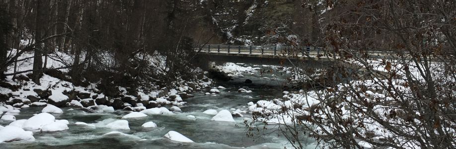 Rebecca MacDermott Cover Image