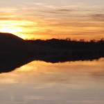 Curtis Anderson Profile Picture