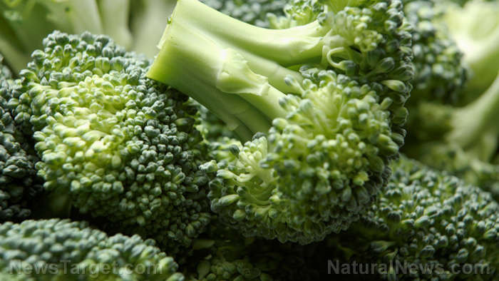 Powerful natural medicine in broccoli sprouts found to prevent cancer and protect the brain from stroke damage – NaturalNews.com