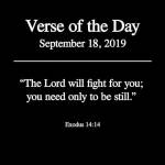 Caroll Martinez Profile Picture