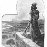 Peter Cvek profile picture