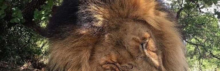 tomjonesiii Cover Image