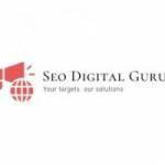 SEO Digital Gurus Profile Picture