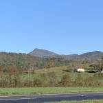 PaperWill Profile Picture