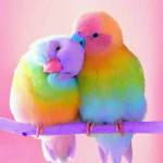 dancin ben Profile Picture