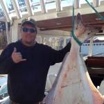 Rob Shields Profile Picture