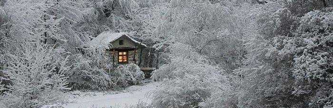 Carol Morrison Cover Image