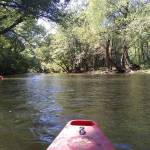 Tony Germain Profile Picture