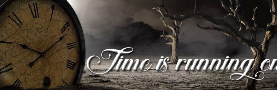 STEVEN NEUMANN Cover Image