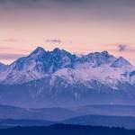 LisaRodino Profile Picture