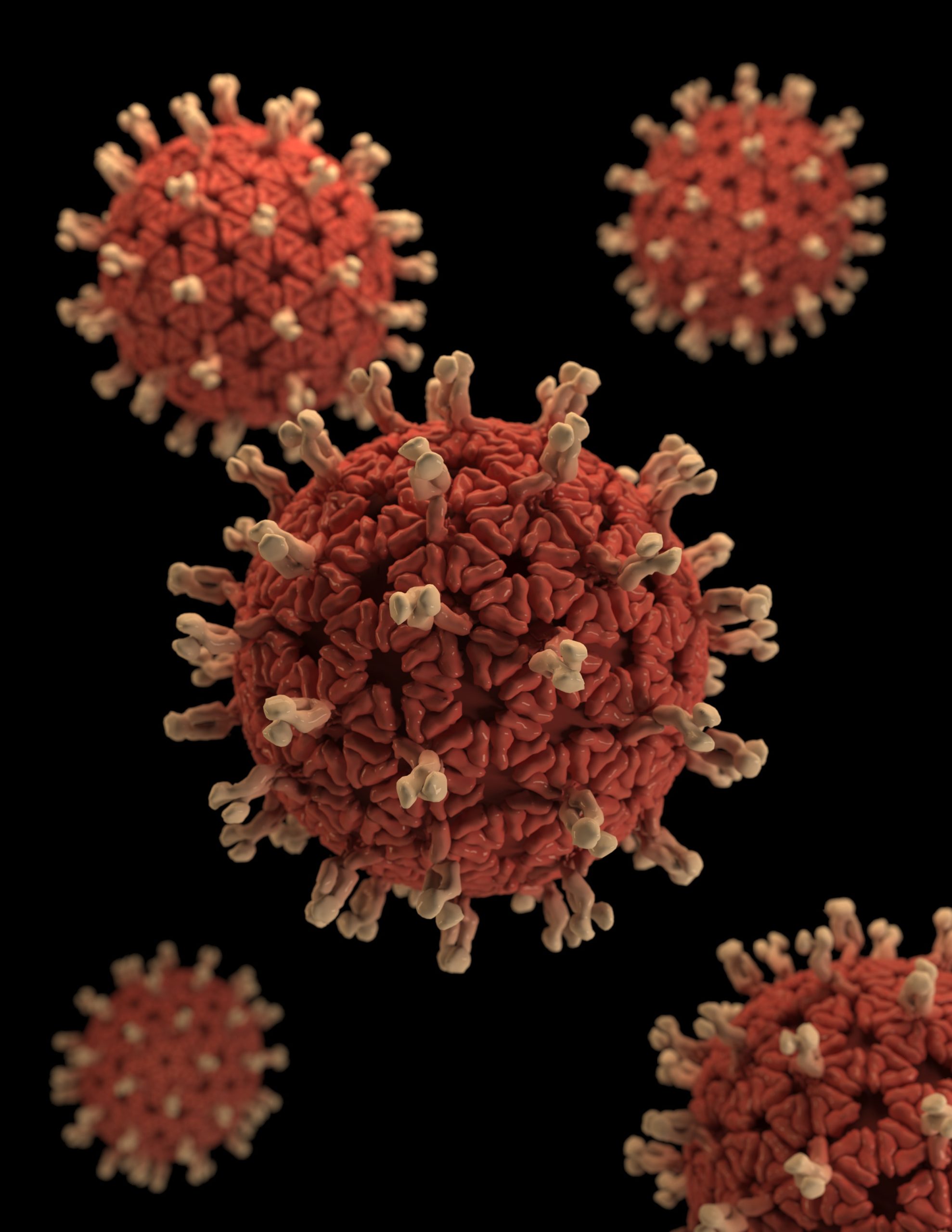 Is Coronavirus the Tsunami?  | Catherine Boyle