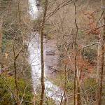 Melissa Phillips Profile Picture