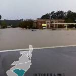 lovetinsmle love Profile Picture