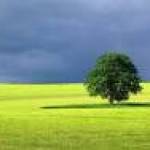 J____ Profile Picture