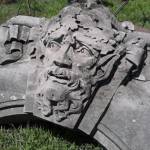 SDRain Profile Picture