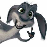 Johan Profile Picture