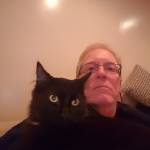IchiCat Profile Picture