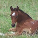 Kay Goetz Profile Picture