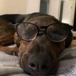 Derek Kay Profile Picture